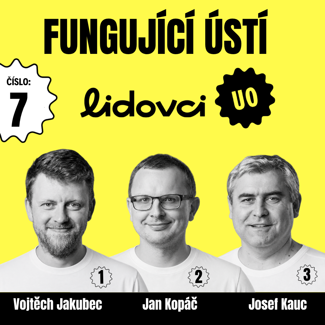 Jak (ideálně) volit?